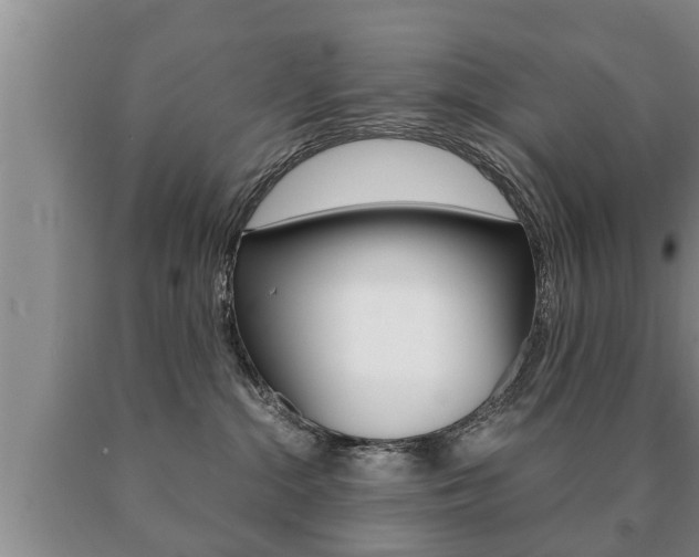 X0000091060284200708061007