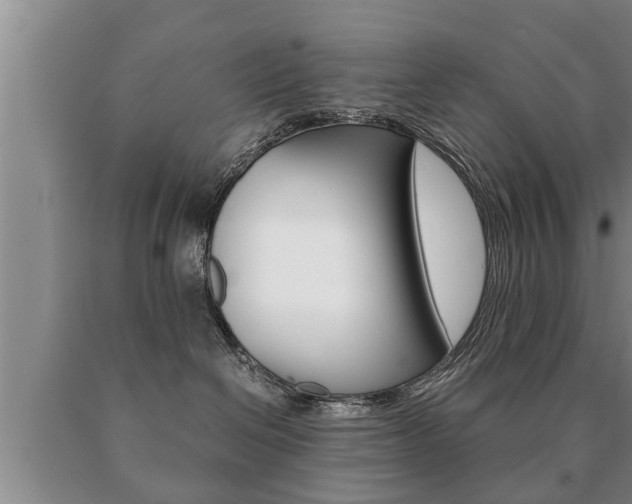 X0000091060286200708061007