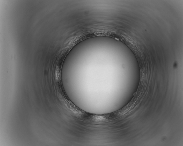 X0000091060287200708061007