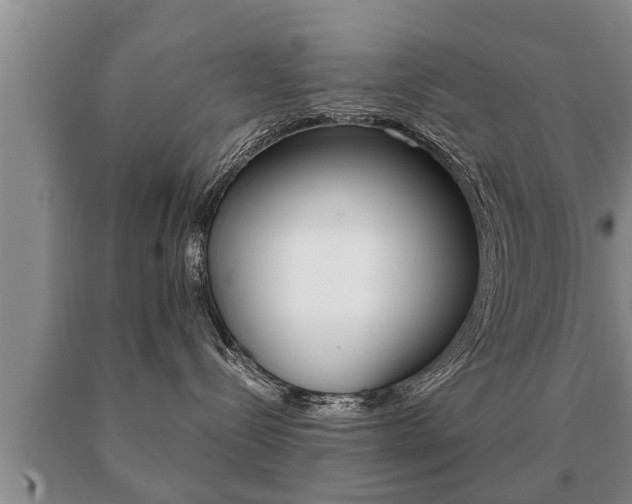 X0000091060288200708061007