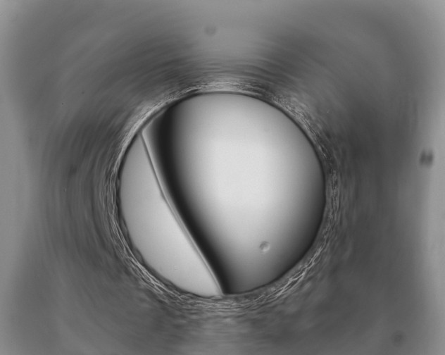 X0000091060289200708061006