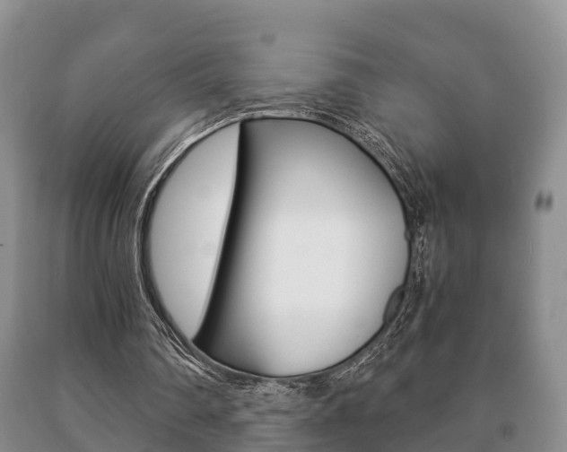 X0000091060290200708061006