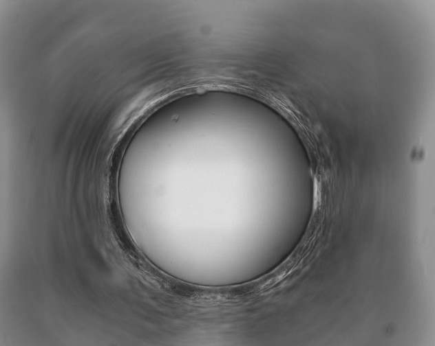 X0000091060291200708061006