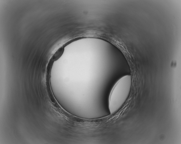 X0000091060292200708061006
