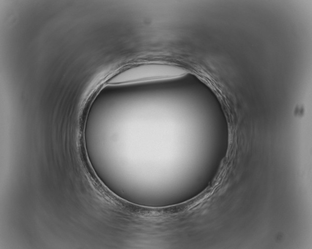 X0000091060293200708061006