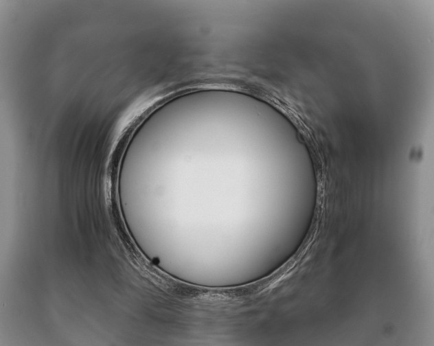 X0000091060294200708061006