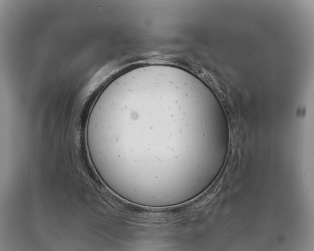 X0000091060295200708061006