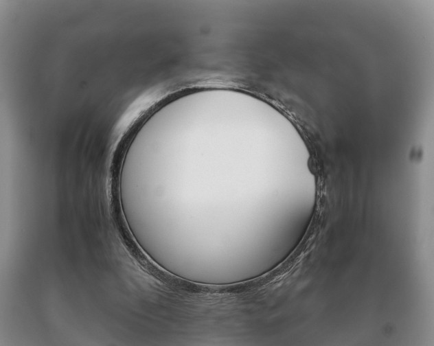 X0000091060296200708061006