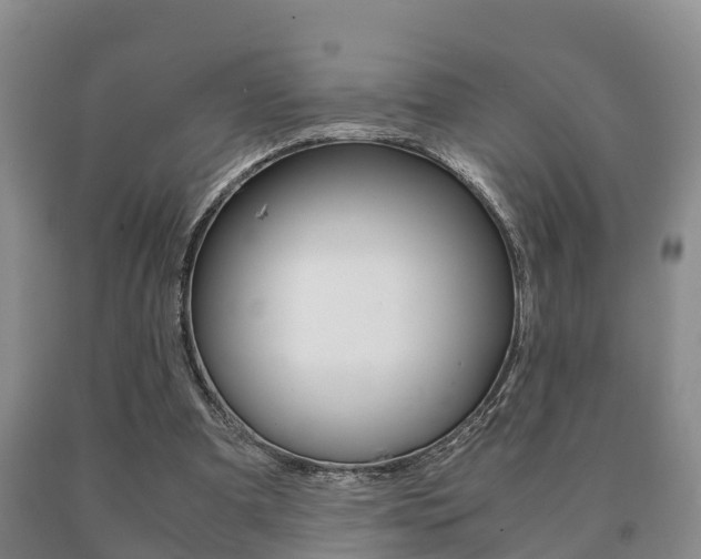 X0000091060297200708061006