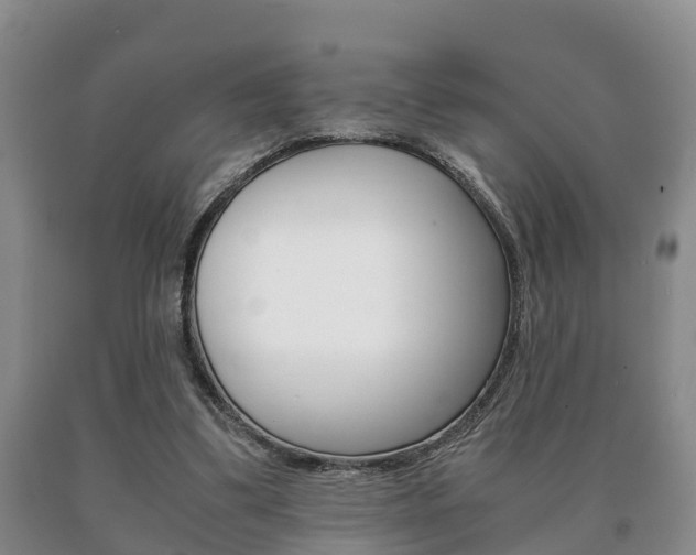 X0000091060299200708061006