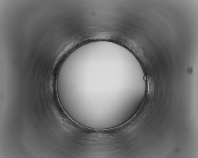 X0000091060300200708061006