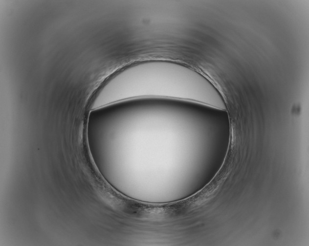 X0000091060301200708061006
