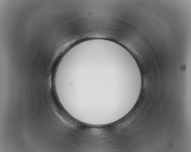 X0000091060302200708061006