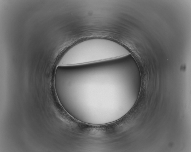 X0000091060303200708061006