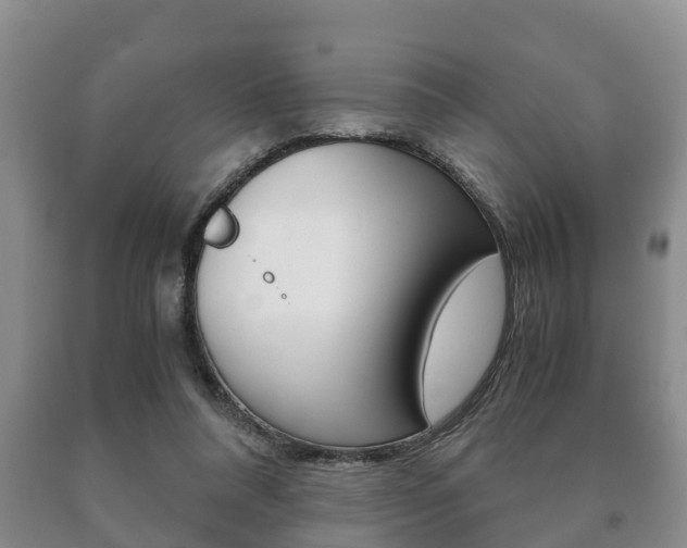 X0000091060304200708061006