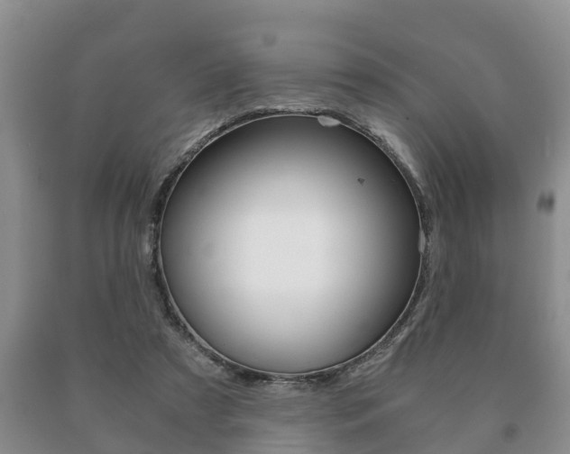X0000091060305200708061006