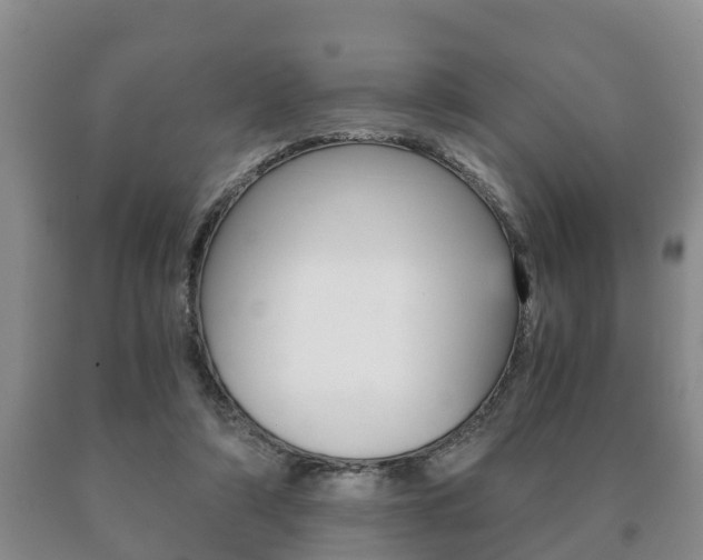 X0000091060306200708061006