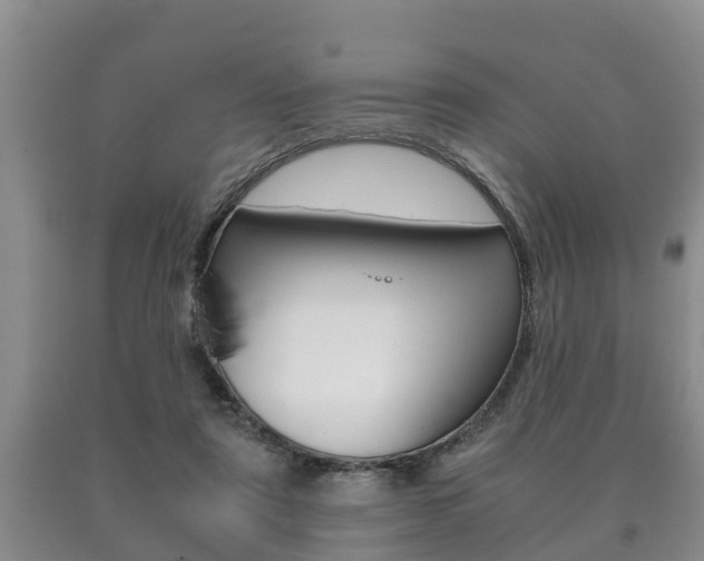 X0000091060307200708061006