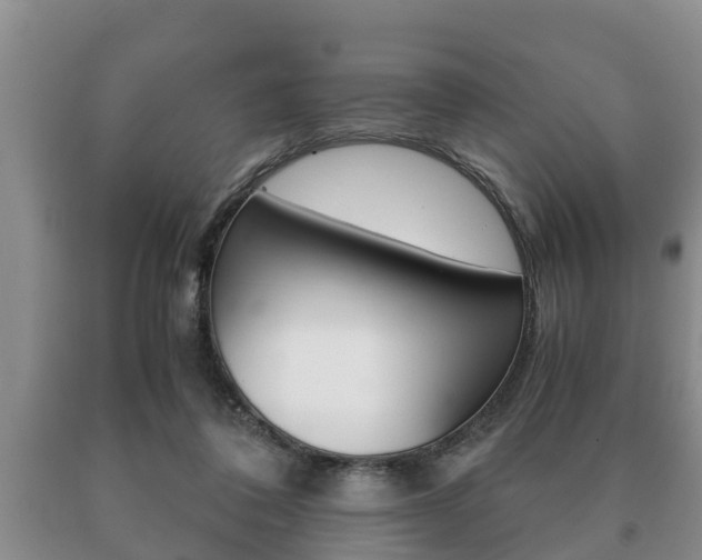 X0000091060308200708061006