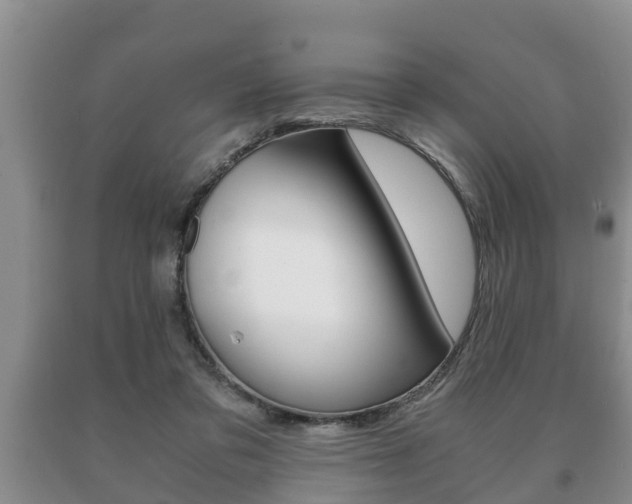 X0000091060309200708061006