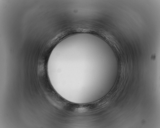 X0000091060312200708061006