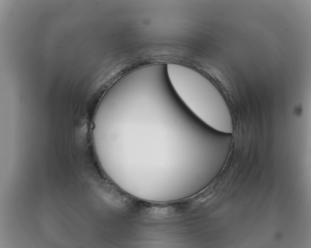 X0000091060314200708061006
