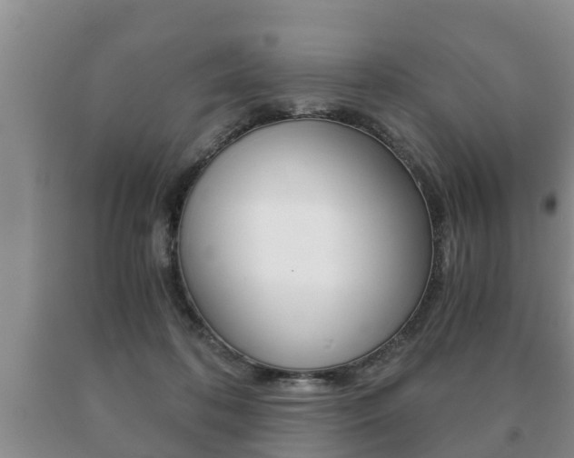 X0000091060316200708061006