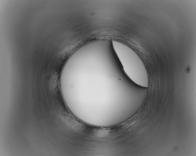 X0000091060318200708061006