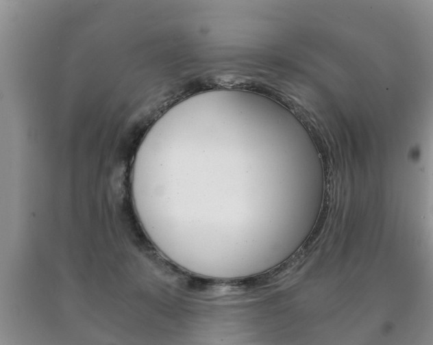 X0000091060319200708061006