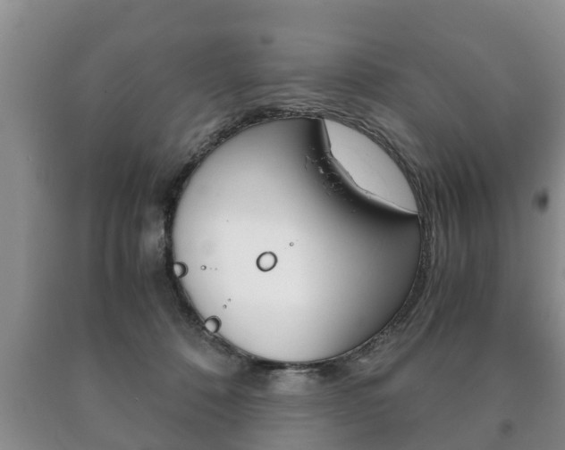 X0000091060320200708061006
