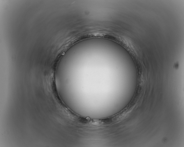 X0000091060321200708061006