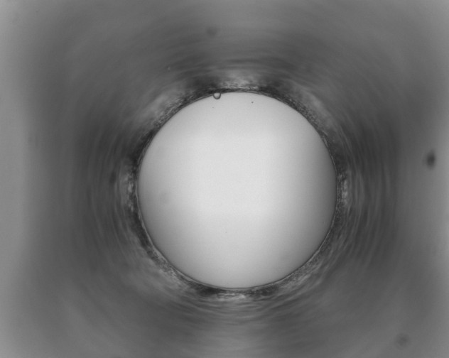 X0000091060322200708061006