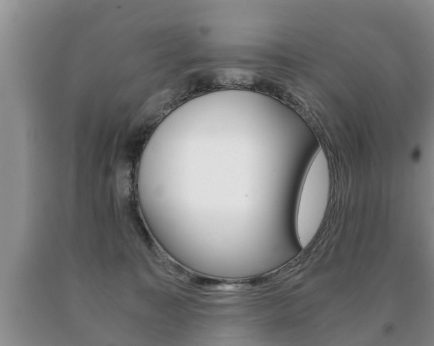 X0000091060323200708061006