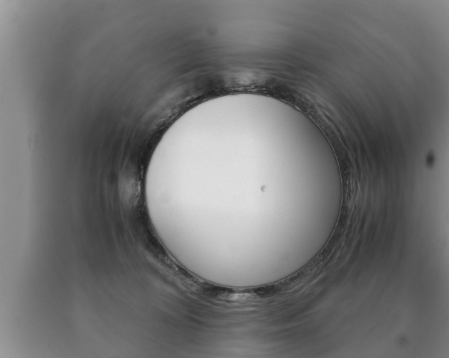 X0000091060324200708061006