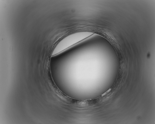 X0000091060325200708061006