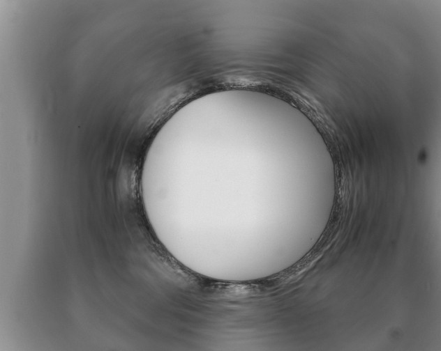 X0000091060330200708061006