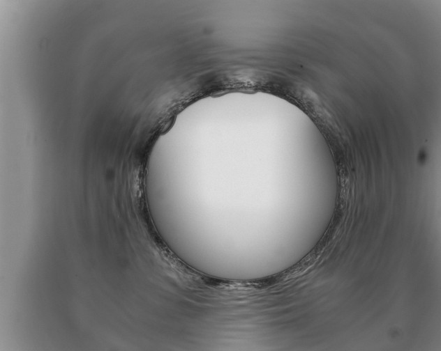 X0000091060331200708061006