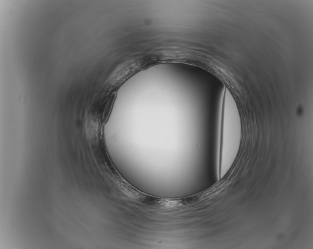X0000091060333200708061006