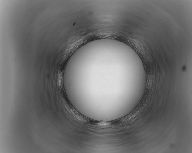 X0000091060335200708061005