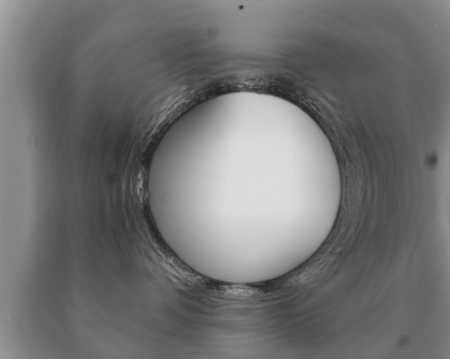 X0000091060336200708061005