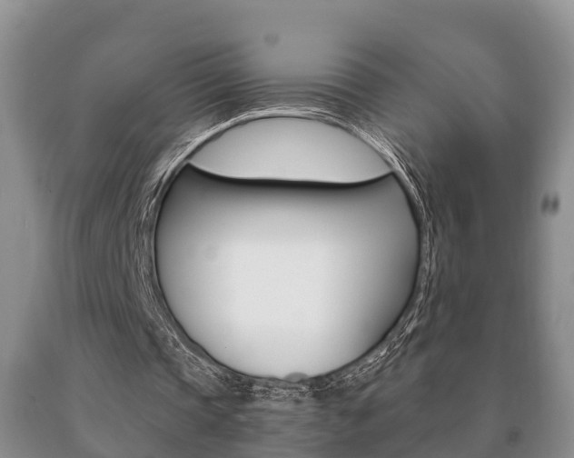 X0000091060337200708061005