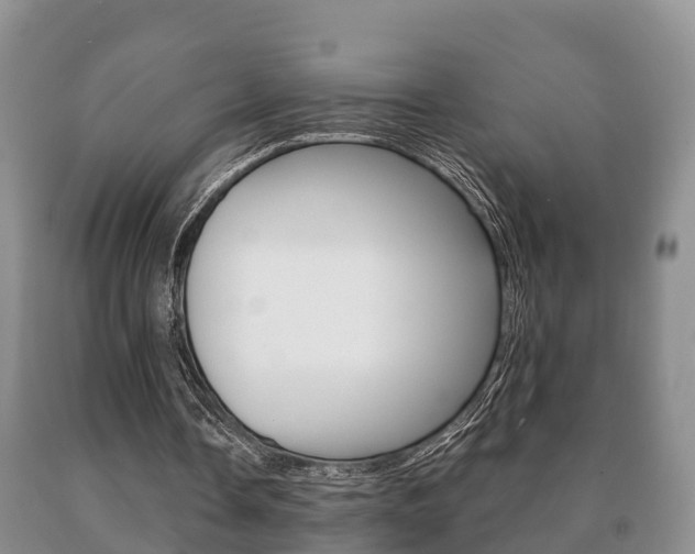 X0000091060338200708061005