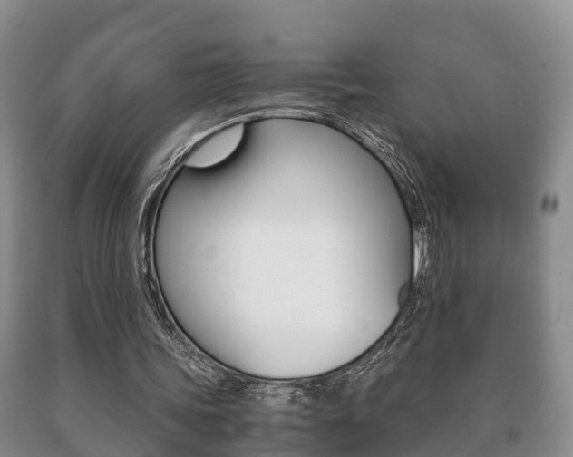 X0000091060339200708061005