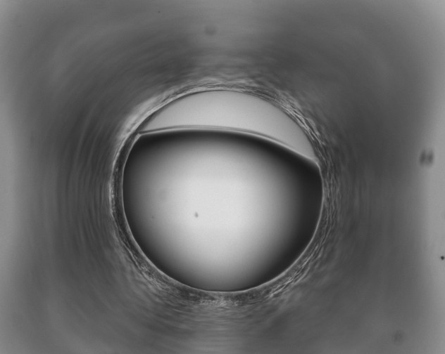 X0000091060340200708061005
