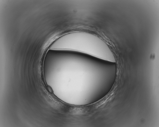 X0000091060341200708061005