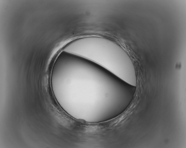 X0000091060342200708061005