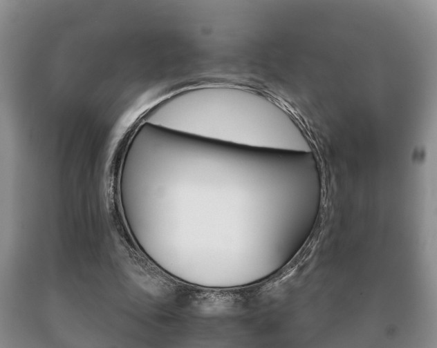 X0000091060343200708061005