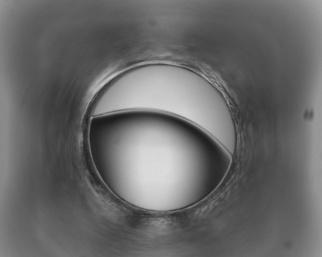 X0000091060344200708061005