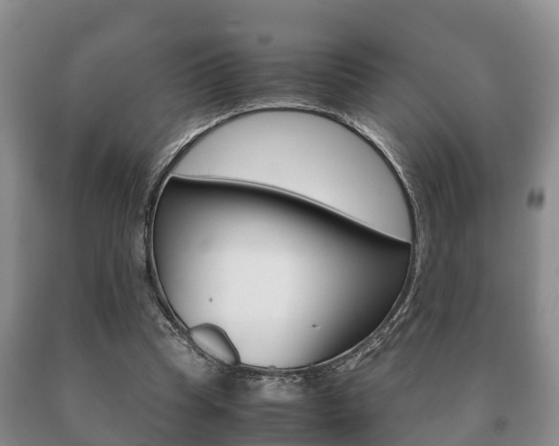 X0000091060345200708061005
