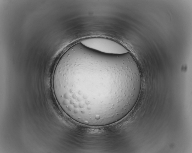 X0000091060347200708061005